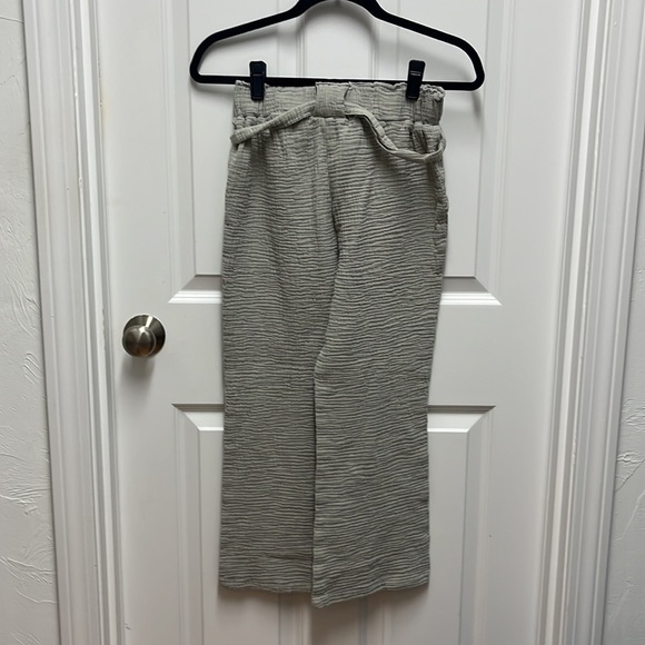 Sage Gauzy Cotton‎ Wide Leg Pant - Picture 3 of 3